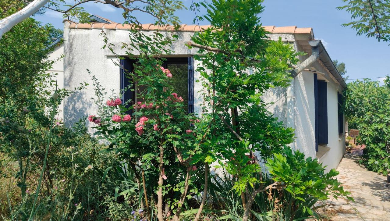 Chambre Privee Dans Maison En Garrigue Nîmes Exteriér fotografie